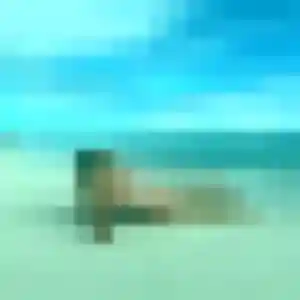 Photo de Neneh à Frasne (24 ans) - plan cul gratuit