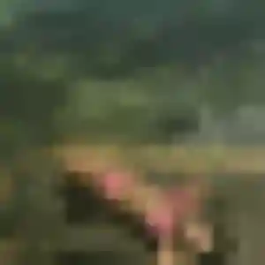 Aya, 28 ans, dispo pour plan cul à Fresnes