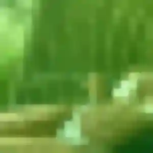 Profil de Zoé à Fresnes (37 ans) - plan cul discret