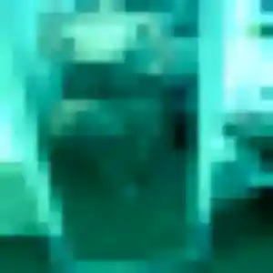 Photo exclusive de Bérénice, 33 ans à Frossay - rencontre coquine