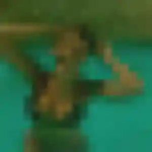 Cassandra (33 ans) à Gennes-Val-de-Loire cherche un plan cul ce soir