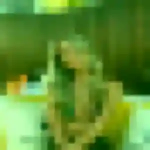 Samira, 23 ans, disponible à Gensac-la-Pallue pour une rencontre coquine