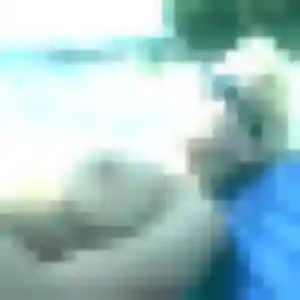 Jumoke (27 ans) à Glomel cherche un plan cul maintenant