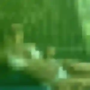 Photo sexy de Perpétue, 25 ans à Grosseto-Prugna - rencontre sans lendemain