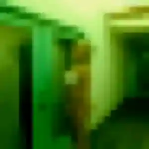 Folake de Guillon-Terre-Plaine, 25 ans - plan cul sans lendemain