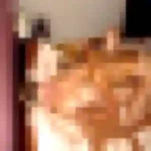 Photo perso de Lola, 39 ans à Halsou - rencontre sans lendemain