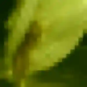 Ketty, femme de 34 ans cherche plan cul à Harbonnières