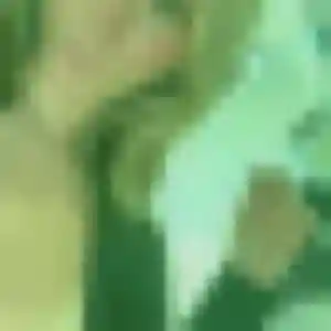 Photo perso de Yvette, 29 ans à Herry - plan discret