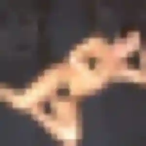 Profil de Zélie à Hirsingue (32 ans) - plan cul sans inscription