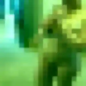 Photo exclusive de Zélie, 41 ans à Ibos - plan discret