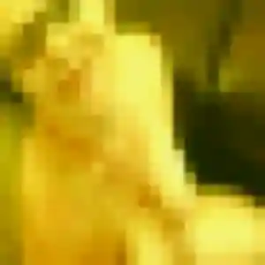 Bukola, 45 ans, disponible à Incheville pour une rencontre coquine