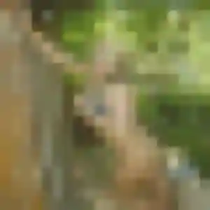 Photo de Naïma à Juvigné (34 ans) - plan cul sans inscription