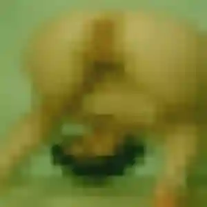 plan cul à Kervignac : photo de Fanny, 30 ans - accès libre