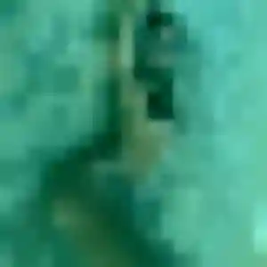 Ebele, 28 ans, connectée à La Boissière pour une rencontre coquine