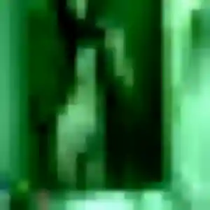 Photo perso de Daphné, 24 ans à La Chapelle-Saint-Sauveur - plan discret