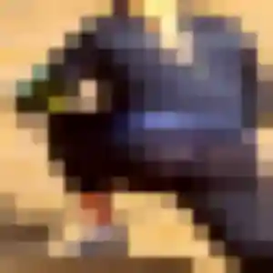 Rencontre Khoudia, 25 ans à La Chapelle-Thouarault gratuitement