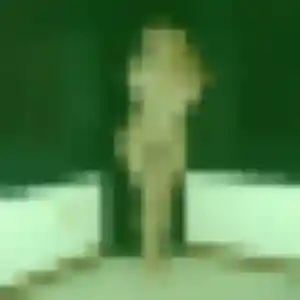 Sexy Jessica, 30 ans à La Foye-Monjault - découvrir son profil