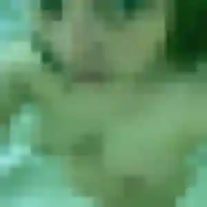 Profil de Dado à La Trimouille (44 ans) - plan cul gratuit
