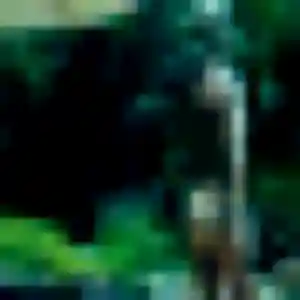 Profil de Roxane à Laluque (36 ans) - plan cul anonyme
