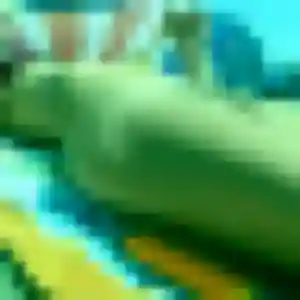 Patience, 40 ans, en ligne à Largeasse pour une rencontre coquine