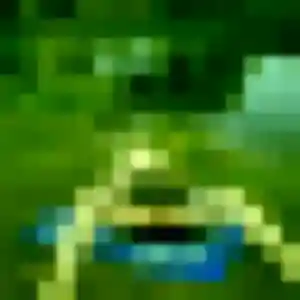 Photo de Cassandra à Le Castelet (31 ans) - plan cul anonyme