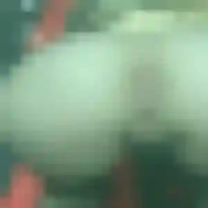 Sexy Akissi, 23 ans à Le Château-d'Oléron - découvrir son profil