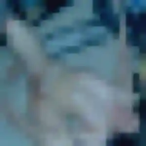 Photo de Safi à Le Crotoy (41 ans) - plan cul discret