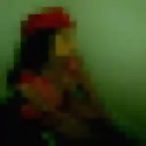 Precious, fille de 31 ans cherche plan cul à Le Perréon