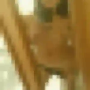 Photo sexy de Gathoni, 34 ans à Le Pin - rencontre sans lendemain