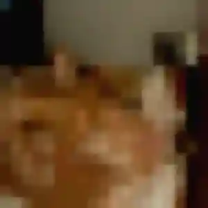 Ophélie, 34 ans, en ligne à Le Sel-de-Bretagne pour une rencontre coquine