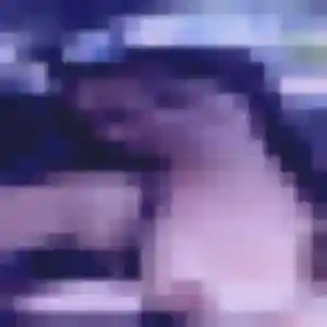 Sexy Priscilla, 37 ans à Lédenon - découvrir son profil