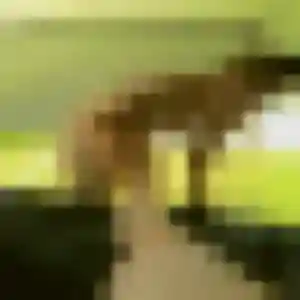Photo sexy de Naomie, 38 ans à Lessay - plan discret