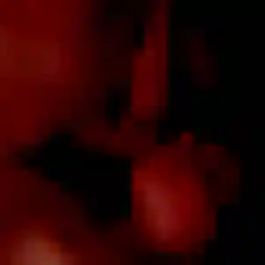 Sandrine, 38 ans, dispo pour plan cul à Loireauxence