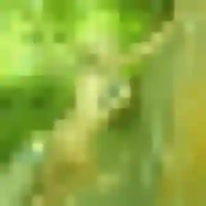 Photo privée de Naïma, 39 ans à Louannec - plan discret