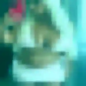 Photo de Akissi à Loyat (38 ans) - plan cul sans inscription