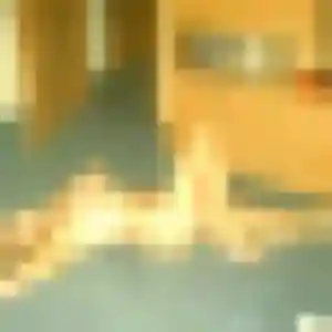 Photo perso de Ophélie, 38 ans à Maringes - rencontre sans lendemain