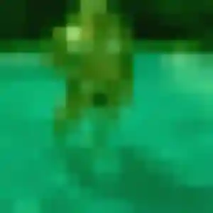 Photo perso de Ludivine, 36 ans à Maulévrier-Sainte-Gertrude - plan discret