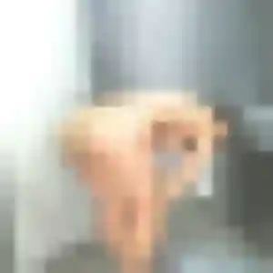 Déborah, 28 ans, cherche un plan cul à Mélicocq