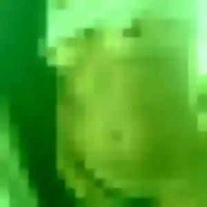 Bernadette de Mer, 43 ans - plan cul sans lendemain