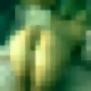 Ngoné, 38 ans, connectée à Mernel pour une rencontre coquine