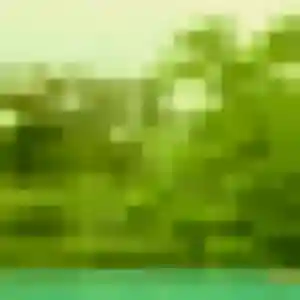 Zawadi, 39 ans, connectée à Meroux-Moval pour une rencontre coquine