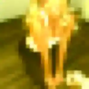 Neema, 43 ans, connectée à Messimy pour une rencontre coquine