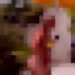 Photo privée de Georgette, 35 ans à Mettray - plan discret