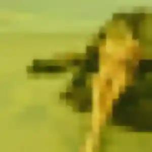 Profil de Funke à Mexy (22 ans) - plan cul discret