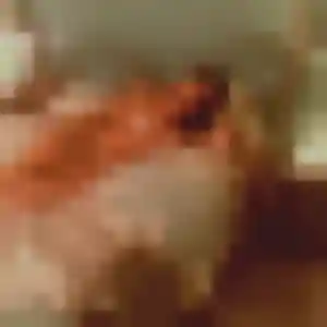 Profil de Rébecca à Mohon (25 ans) - plan cul discret