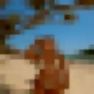 Touty, 40 ans, dispo pour plan cul à Momas