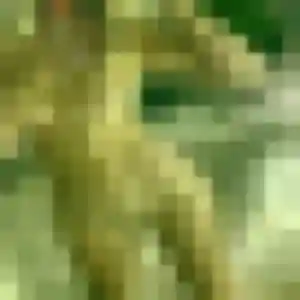 Solène, 43 ans, connectée à Monchy-Saint-Éloi pour une rencontre coquine