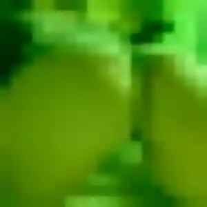 Codou (28 ans) à Mons propose un plan cul ce soir