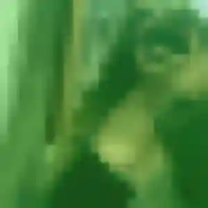Photo privée de Samira, 28 ans à Montceau-les-Mines - rencontre coquine