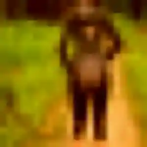 Photo de Chiamaka à Montchenu (33 ans) - plan cul anonyme